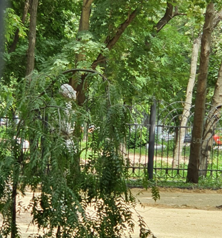 Monument to Mandelstam景点图片