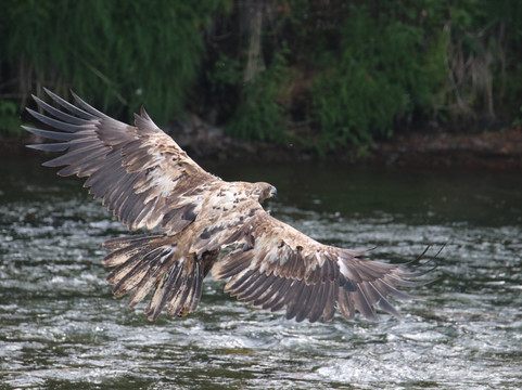 Adventure Airways-荷马必去景点
