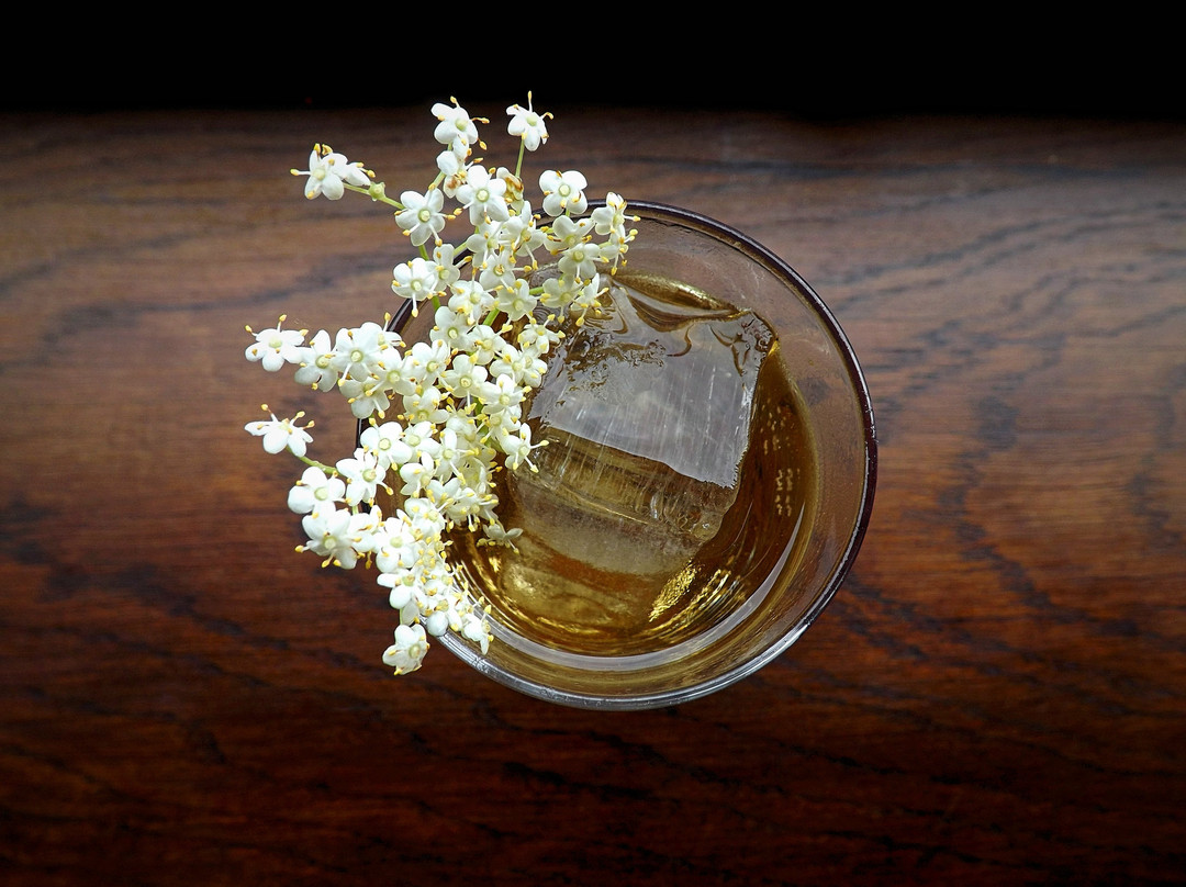 Gungho!-布莱顿必去景点