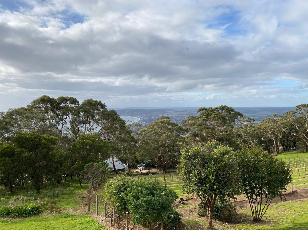 Arthurs Seat State Park景点图片