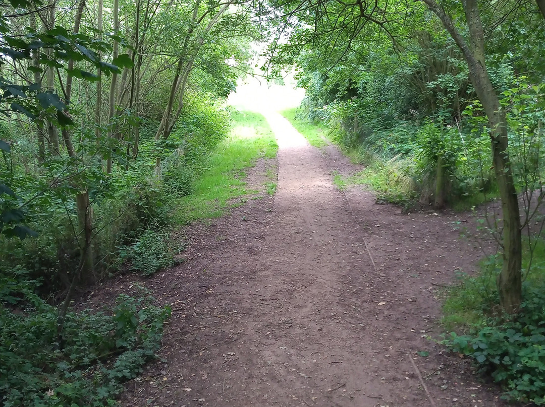 Bramcote Hills Park-Bramcote必去景点
