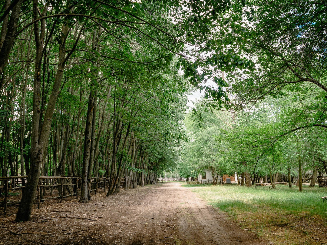 Zoo Centre Dobrich-Dobrich必去景点