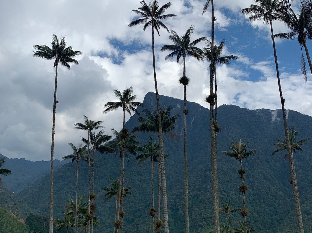 Experiencia Cafetera-Pijao必去景点