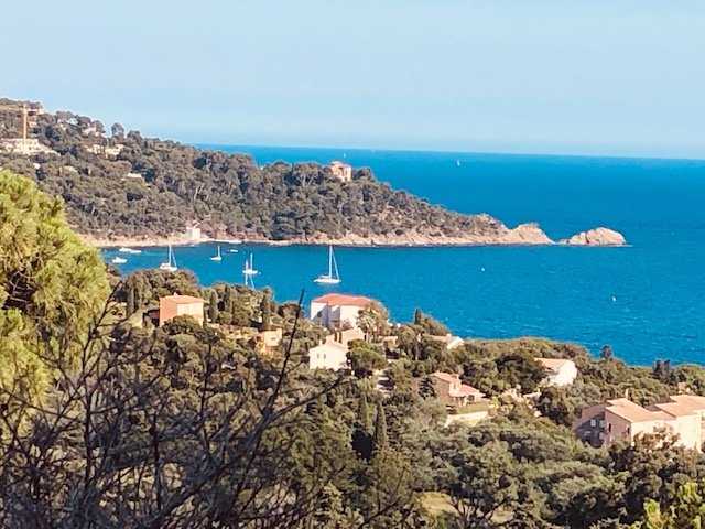 Hotel Azur-酒店景观