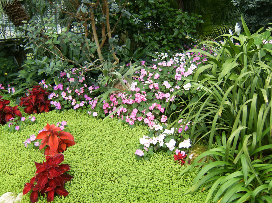 Castle Greenhouse-莱德尼采必去景点
