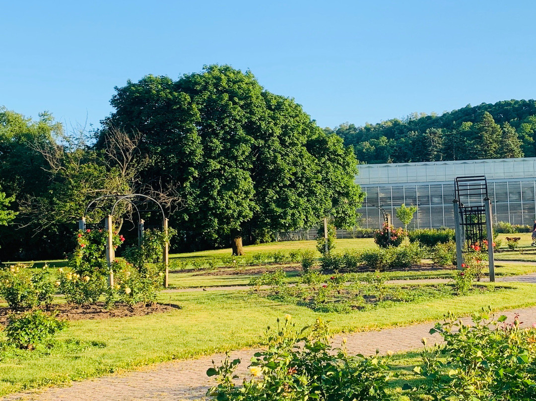 Gage Park-汉密尔顿必去景点