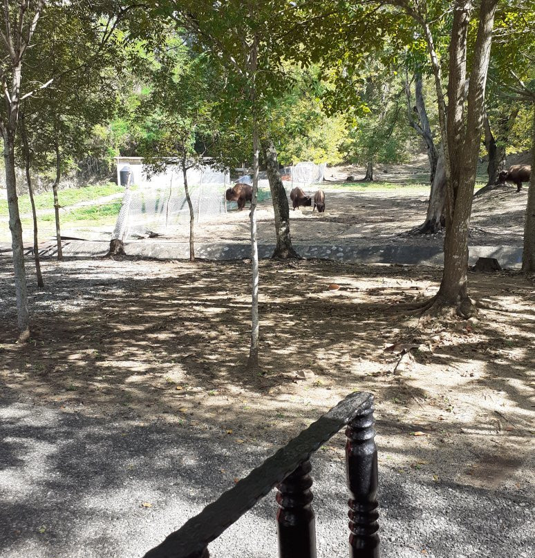 National Zoological Park-圣多明哥必去景点