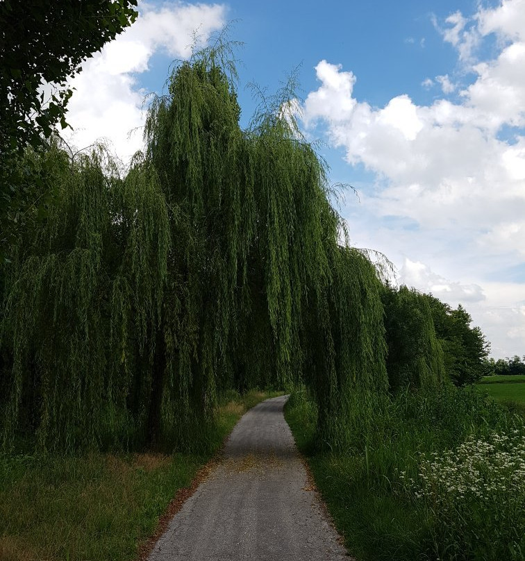 Tombe Morte e Tredici Ponti-Genivolta必去景点