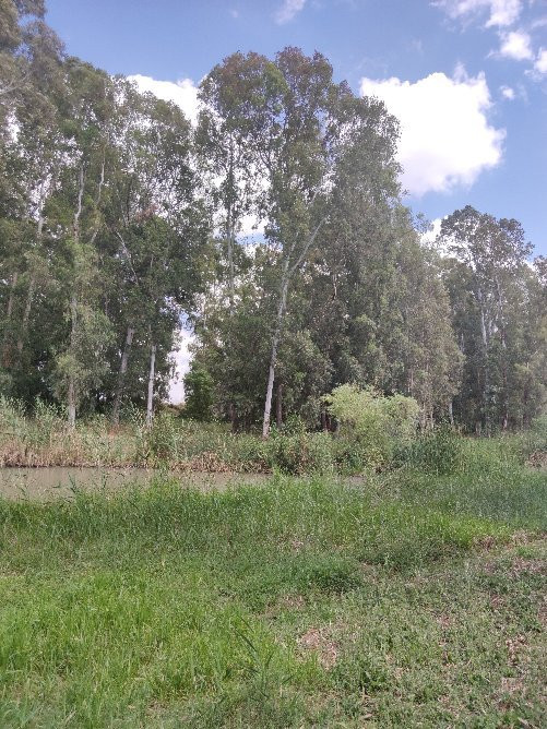 Shvil Nakhal Na'aman-Qiryat Bialik必去景点