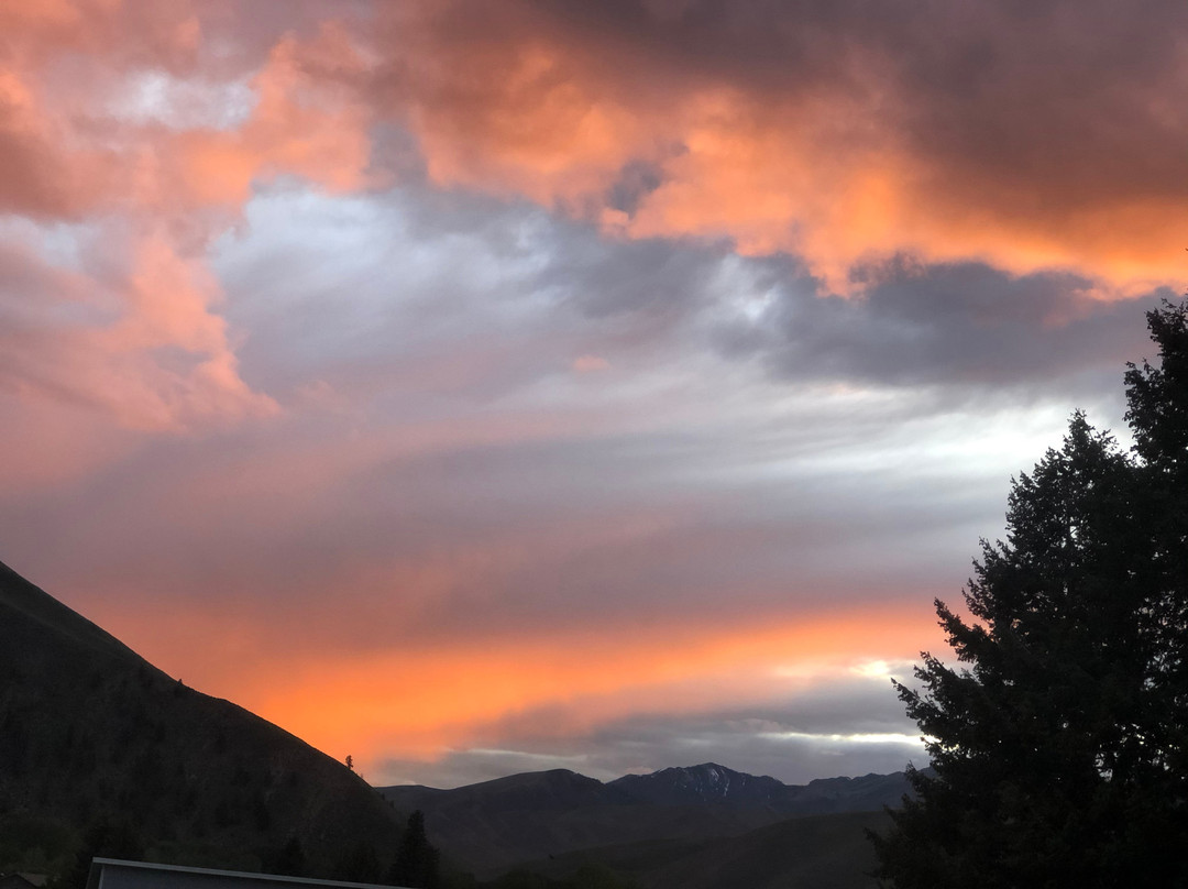 The Inn at Ellsworth Estate主图