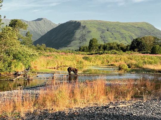 Reel Extreme Alaska-科迪亚克岛必去景点