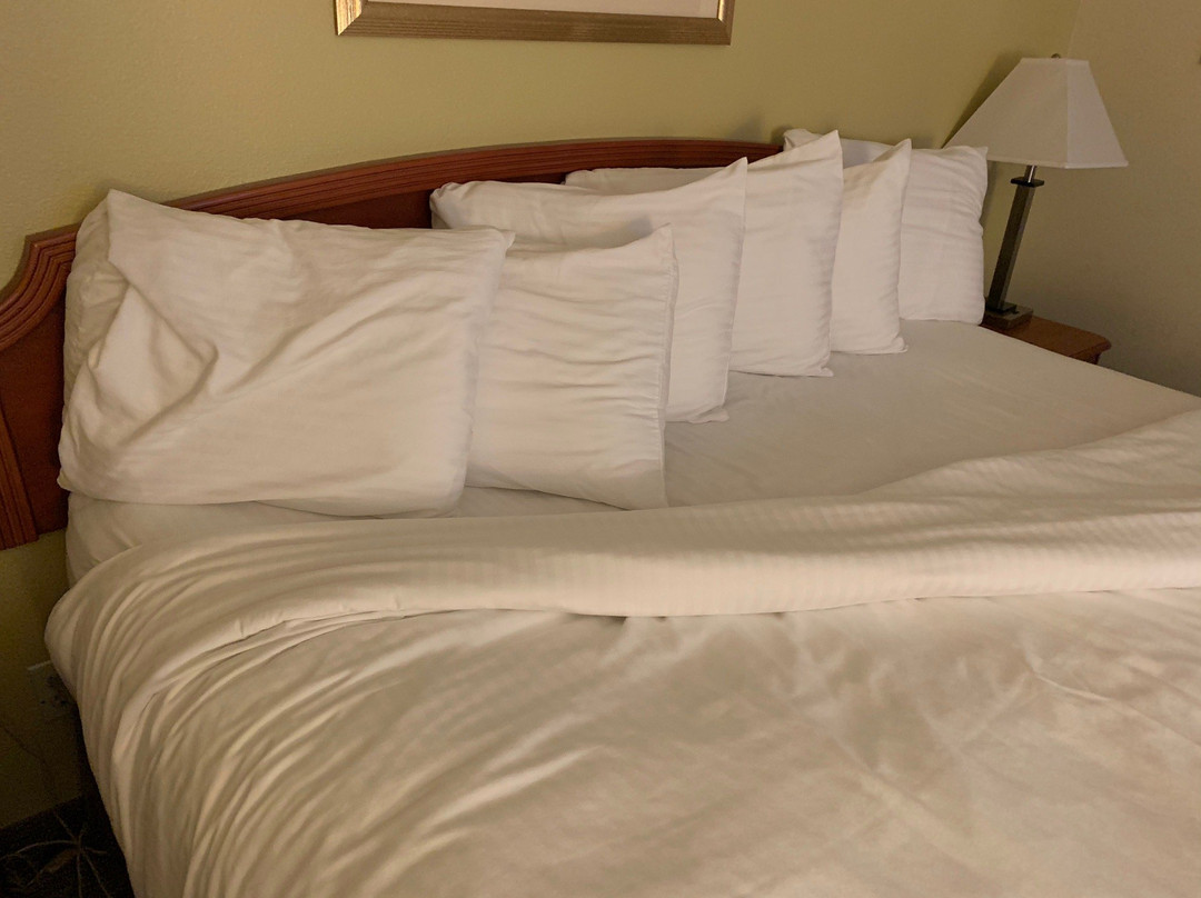 Ramada by Wyndham Ely主图