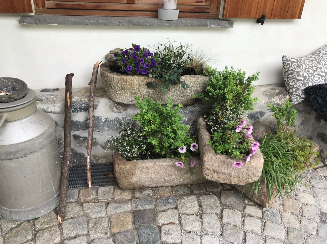 波尔格施拉桑格尔阿尔卑斯山酒店主图