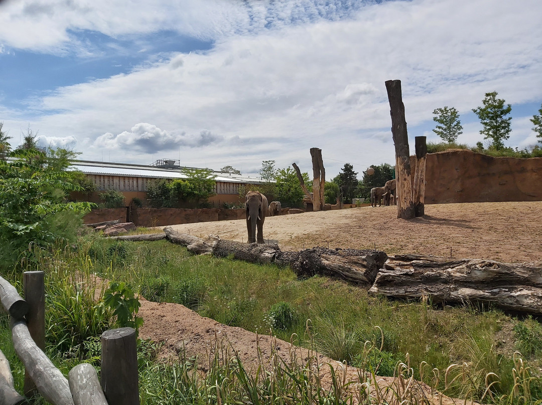 Zoologischer Garten Magdeburg-马格德堡必去景点