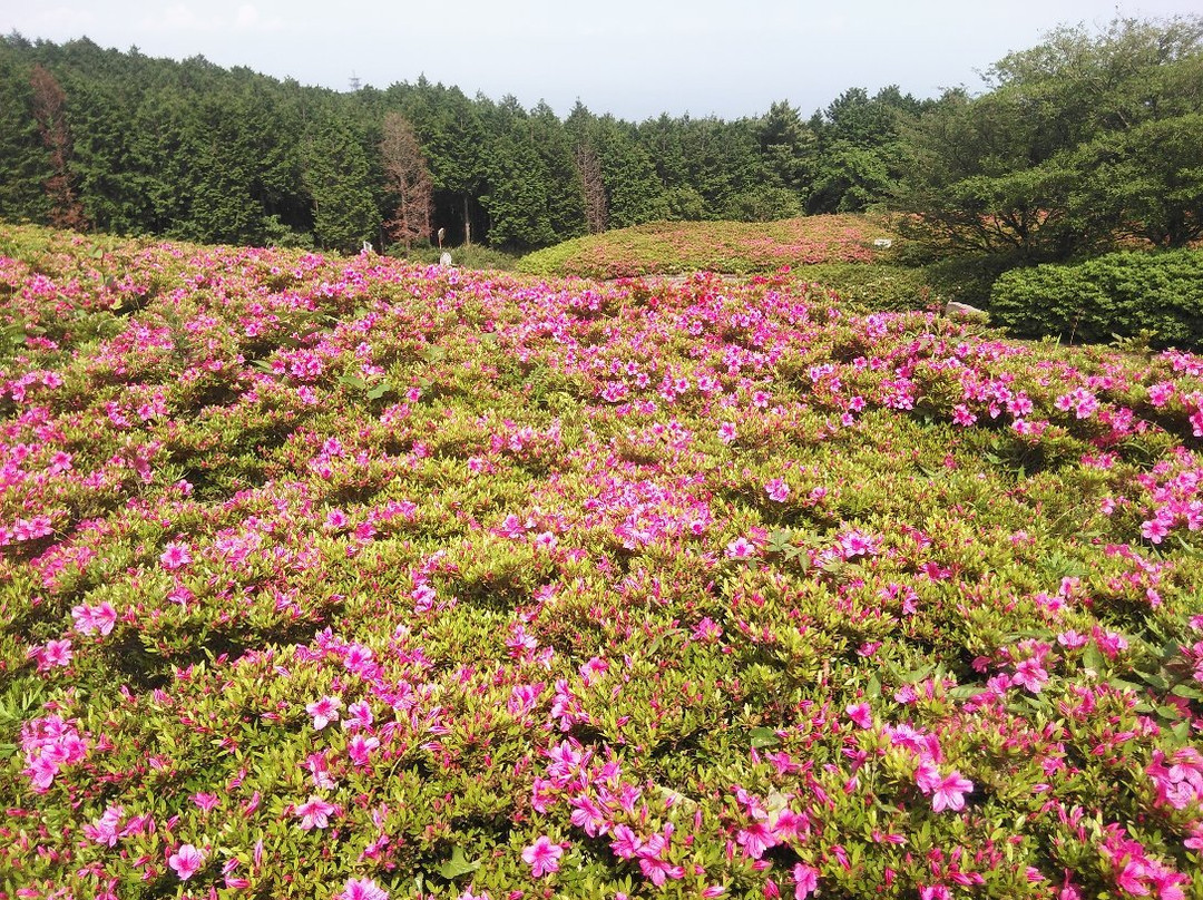 Hoshigayama Park Satsuki no sato-汤河原町必去景点