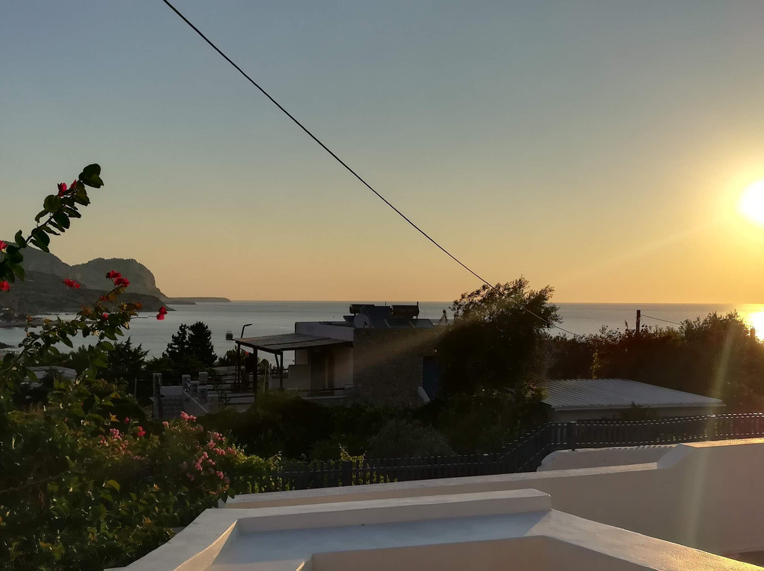 Pontoria Stegna Studios主图