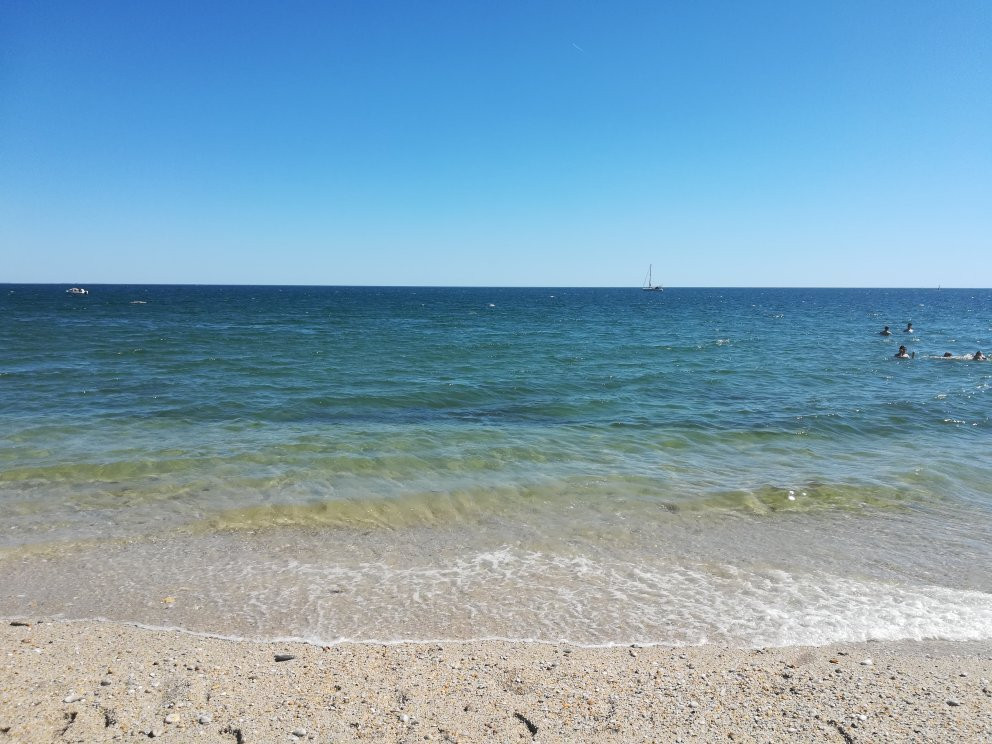 Plage De Suscinio景点图片