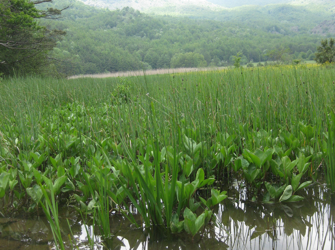 Sentiero Attrezzato Lago Moo E Lago Bino景点图片