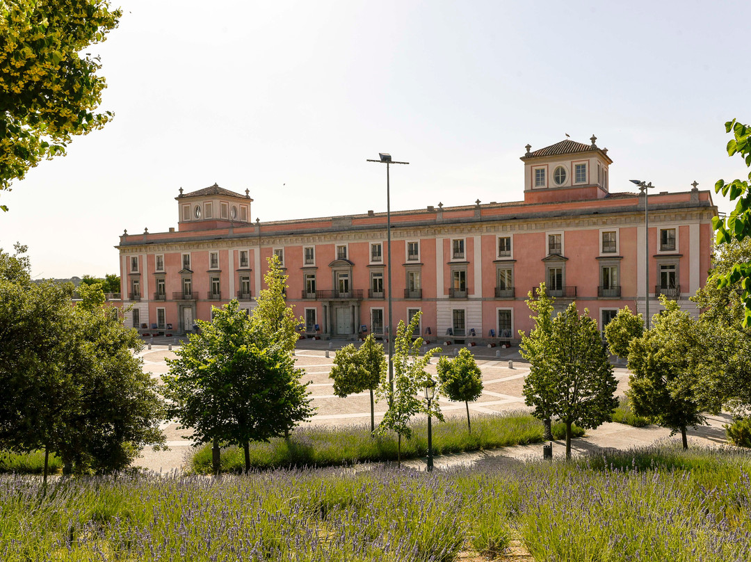 Ayuntamiento de Boadilla del Monte