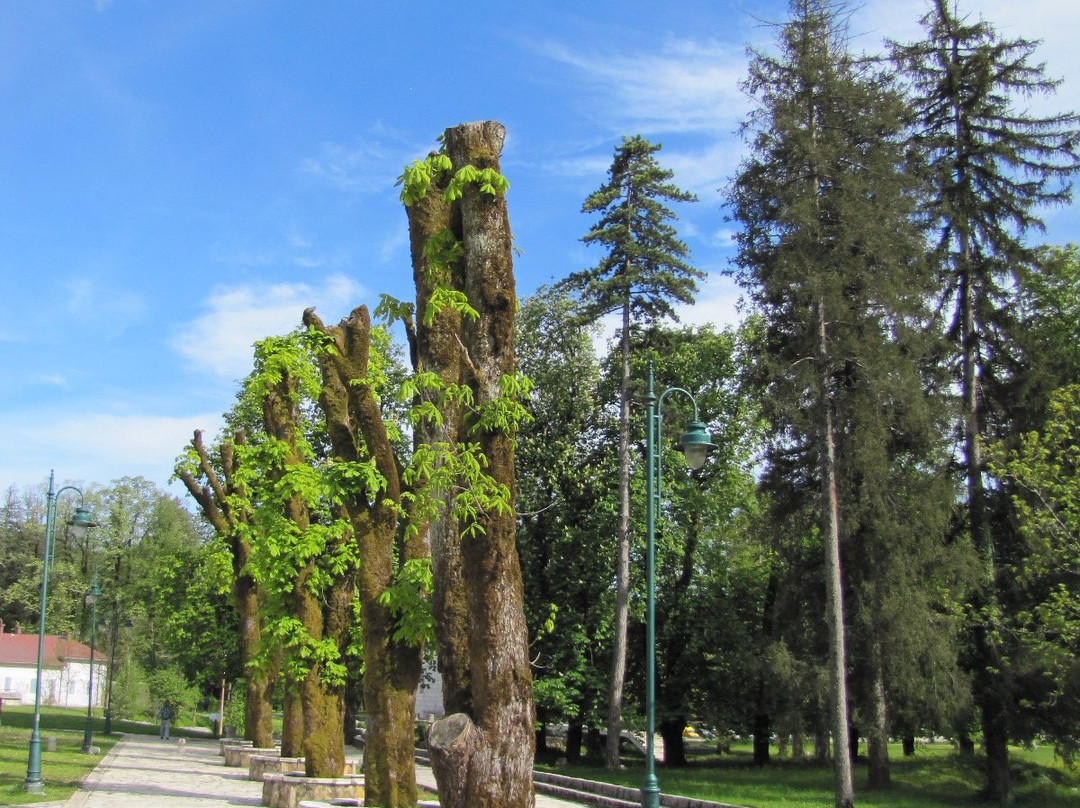 The Monastery of Saint Peter (Sveti Petar Cetinjski)-Cetinje必去景点