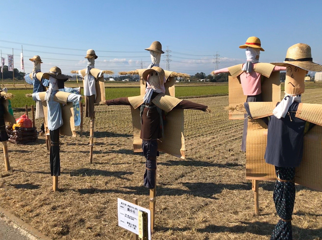 Okutomi Kakashi Festival-狭山市必去景点