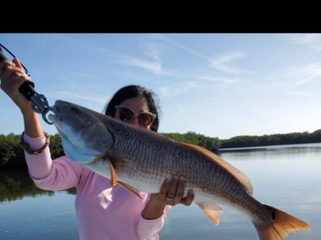Crystal River Fishing Adventures-克里斯特尔里弗必去景点