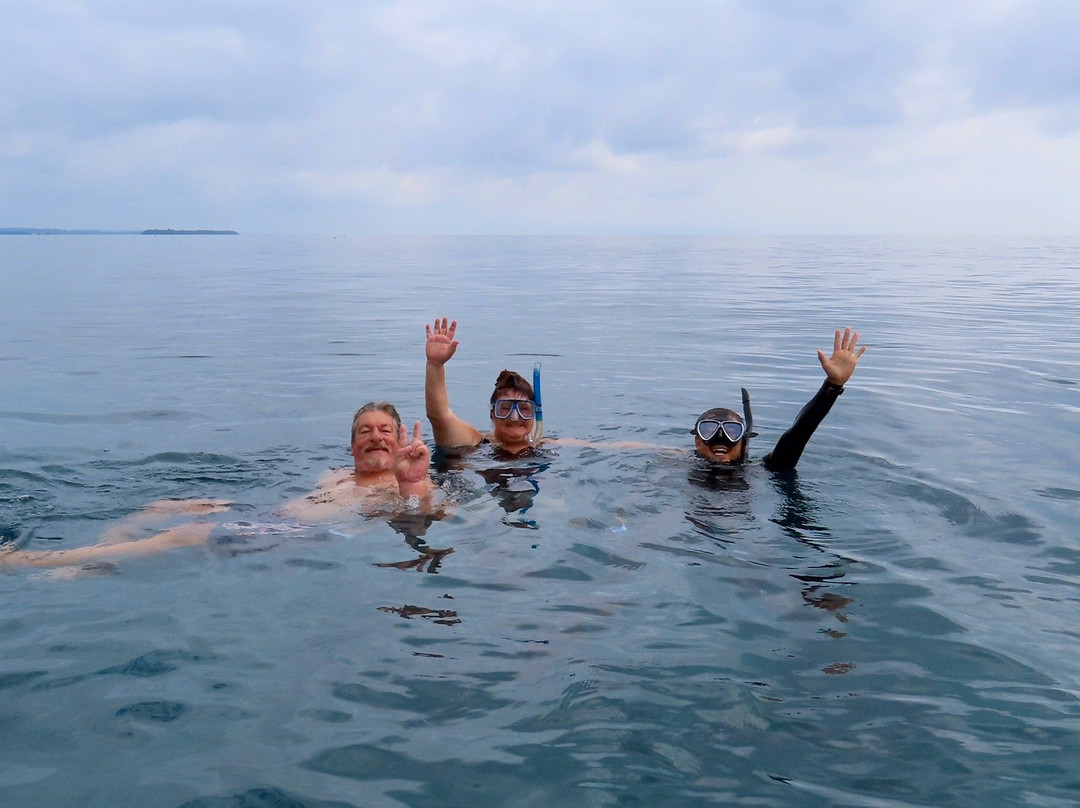 Niugini Dive Adventures-Madang必去景点