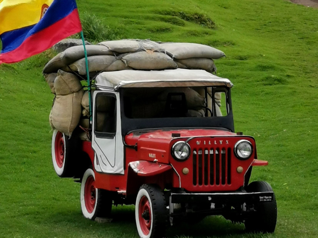 Valle del Cocora-萨伦托必去景点