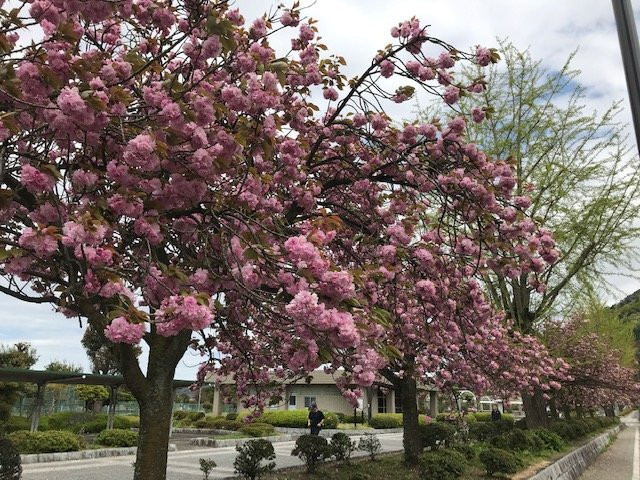 Yamane Park-新居滨市必去景点