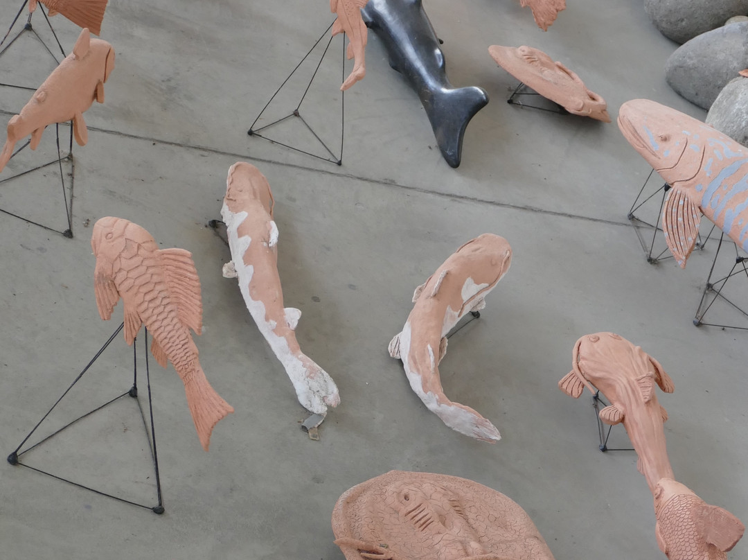 Museo del Rio Magdalena-Honda必去景点