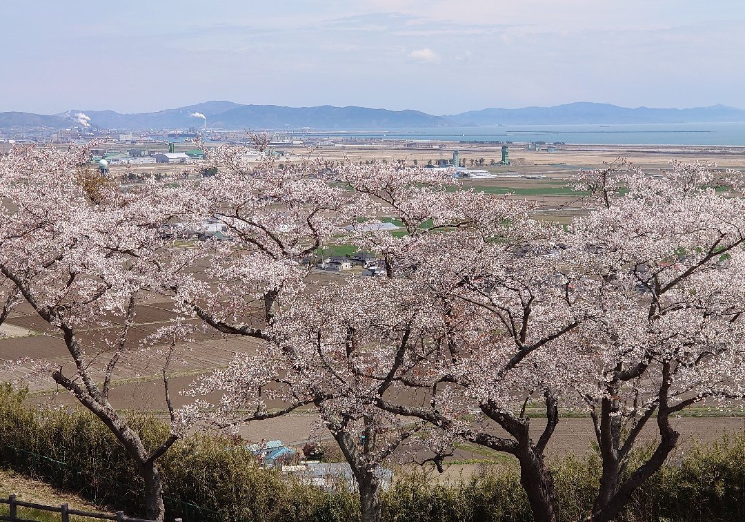 Takiyama Park-东松岛市必去景点