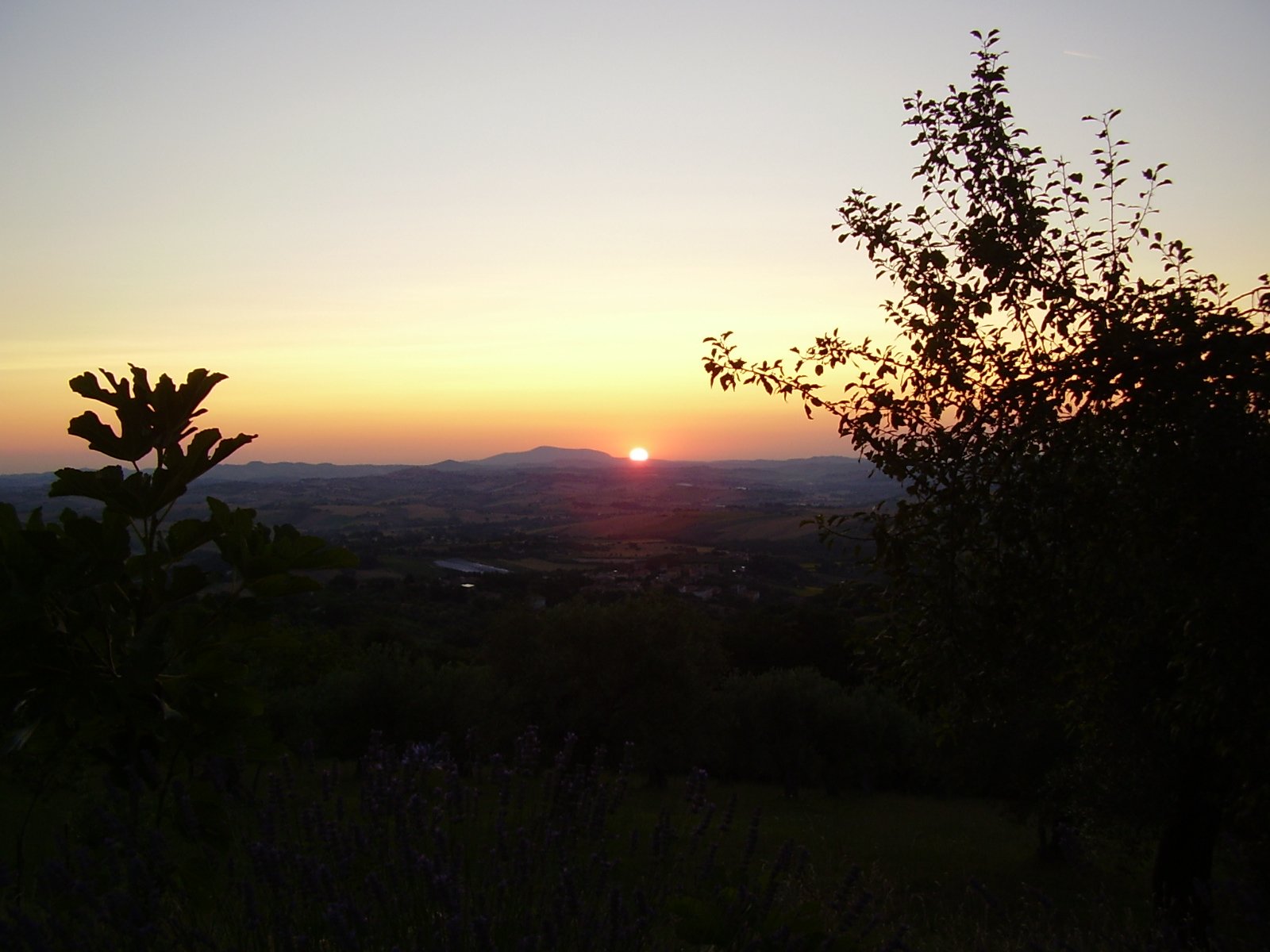 Il Sorger del Sole-官方
