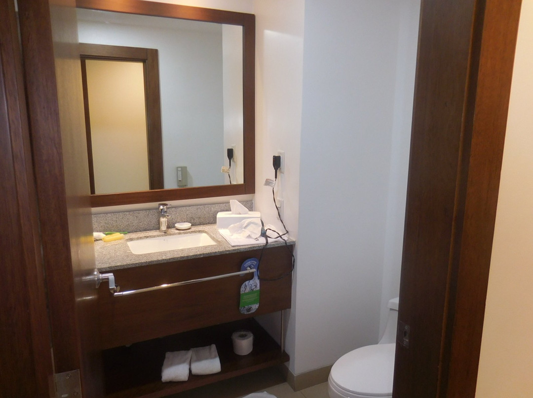 瓜亚基尔机场假日酒店主图