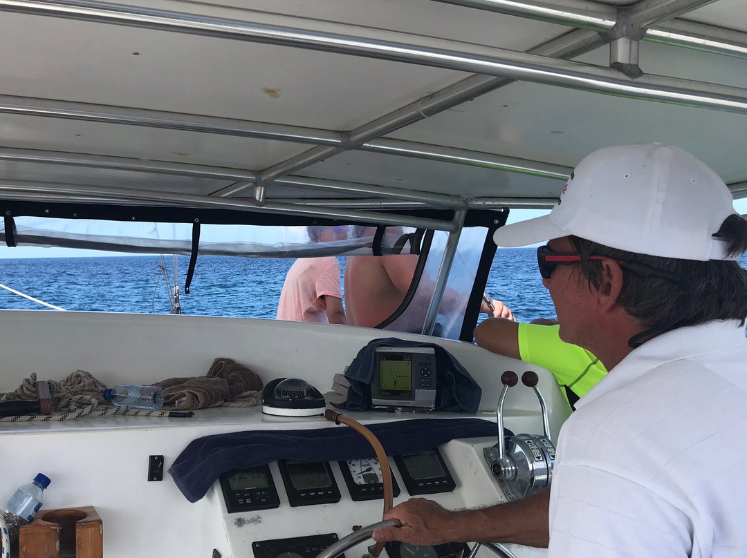 Sailing Catamaran Picante Private Day Tours-克朗波因特必去景点