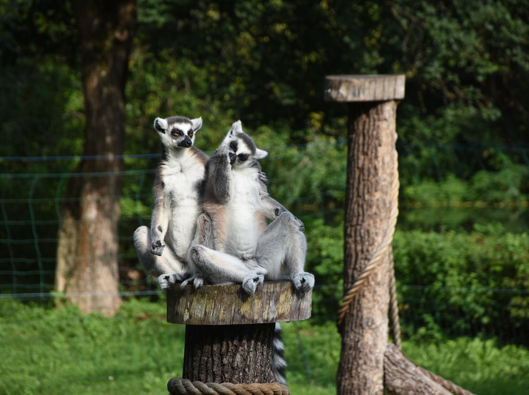 Zoo Spisska Nova Ves景点图片