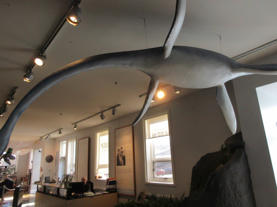 Courtenay & District Museum & Paleontology Centre景点图片