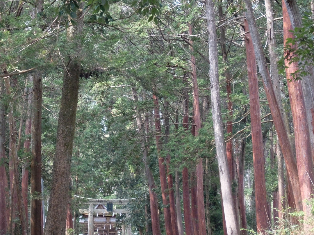 Toru Shrine-大津市必去景点