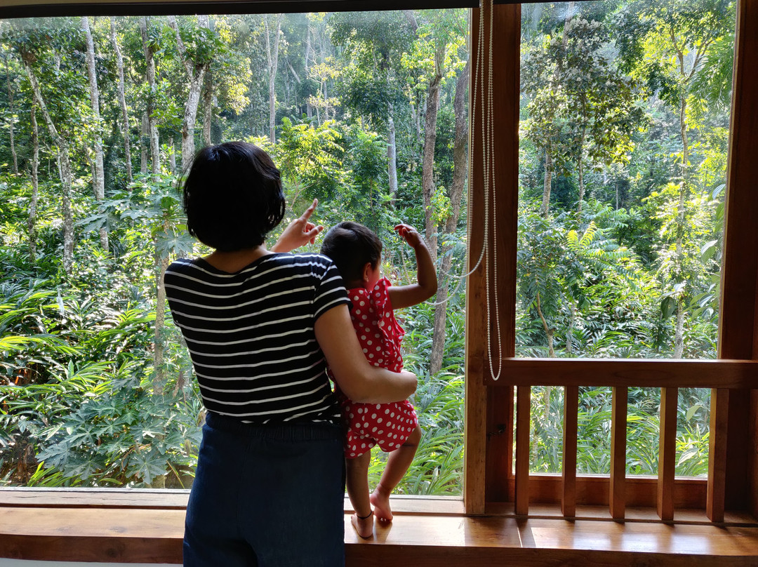 Amaana Plantation Resort主图