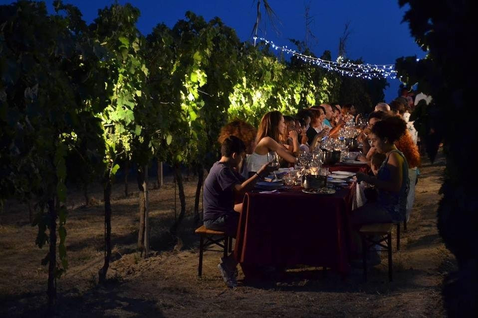 Tripendipity-费尔莫必去景点