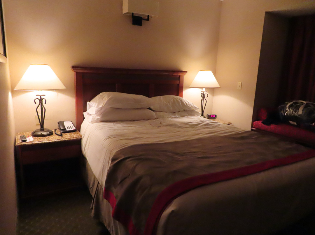 Ramada by Wyndham Frisco主图