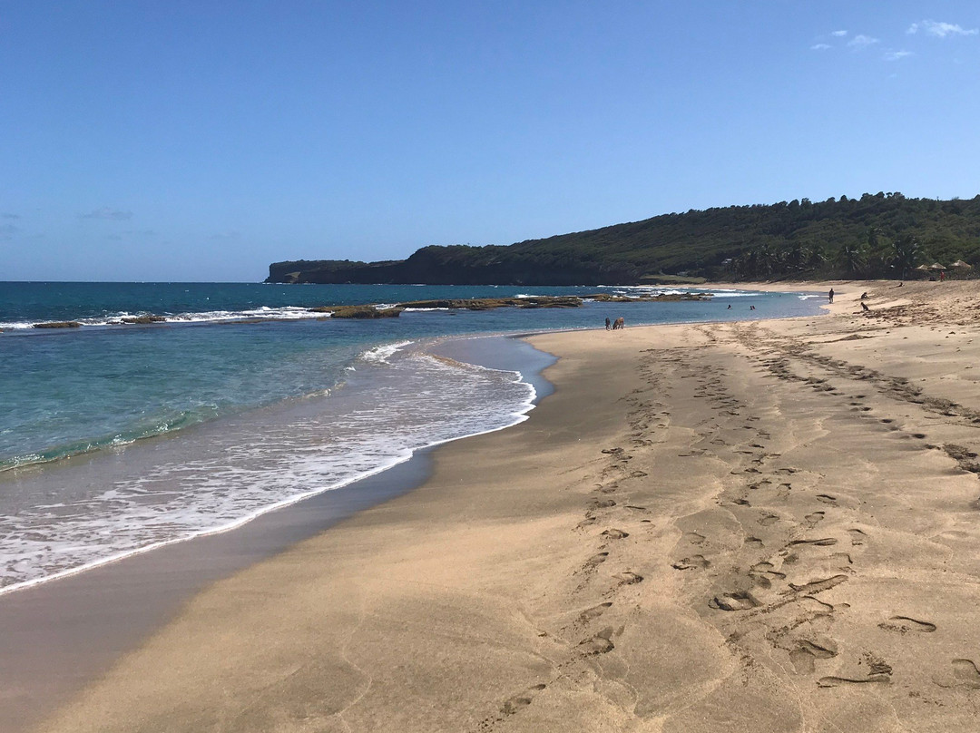 Bathway Beach-River Sallee必去景点