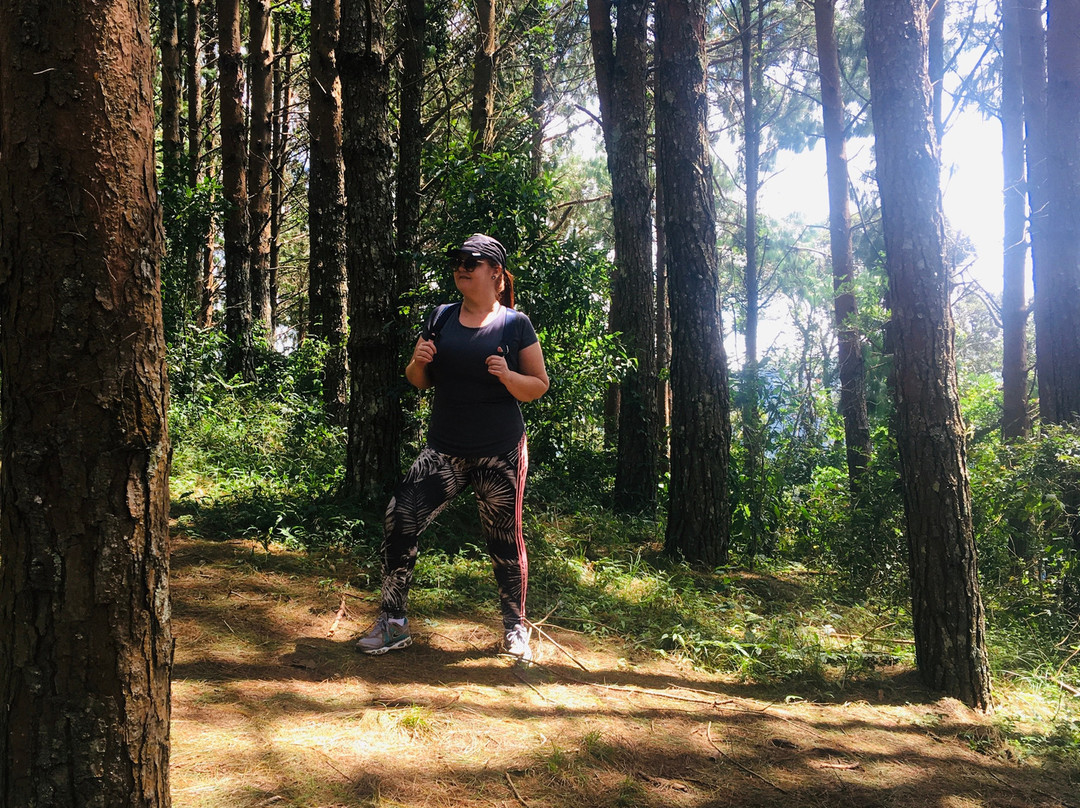 Pedra Chanfrada-Goncalves必去景点