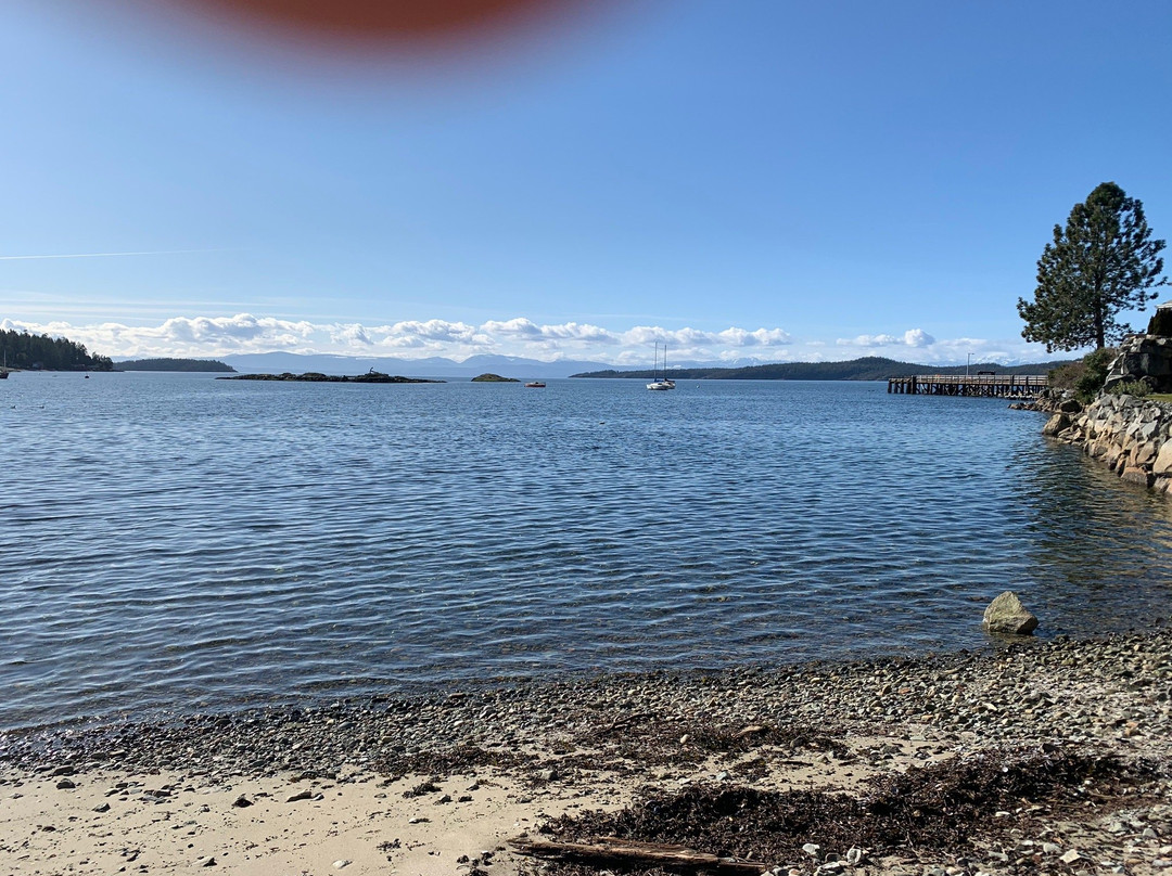 Self Realization Sevalight Centre for Pure Meditation Healing & Counselling主图