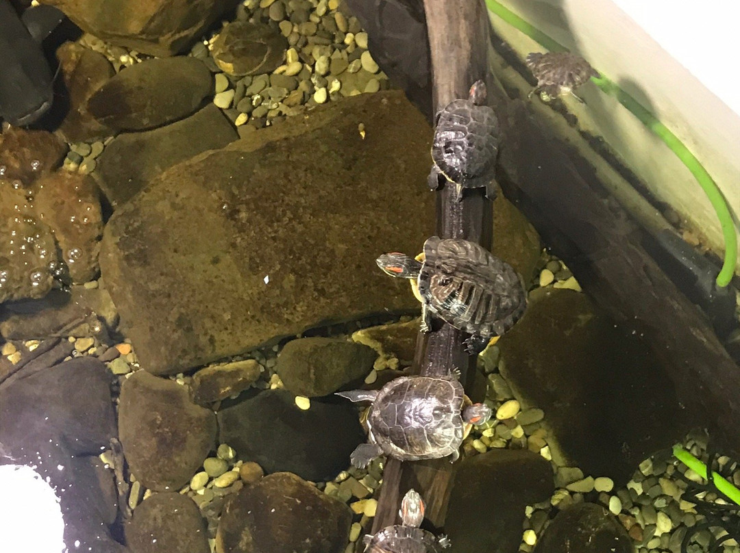 Kastoria Aquarium景点图片