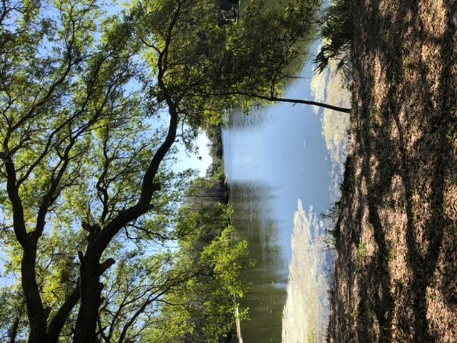 Edward Medard Regional Park-普兰特城必去景点