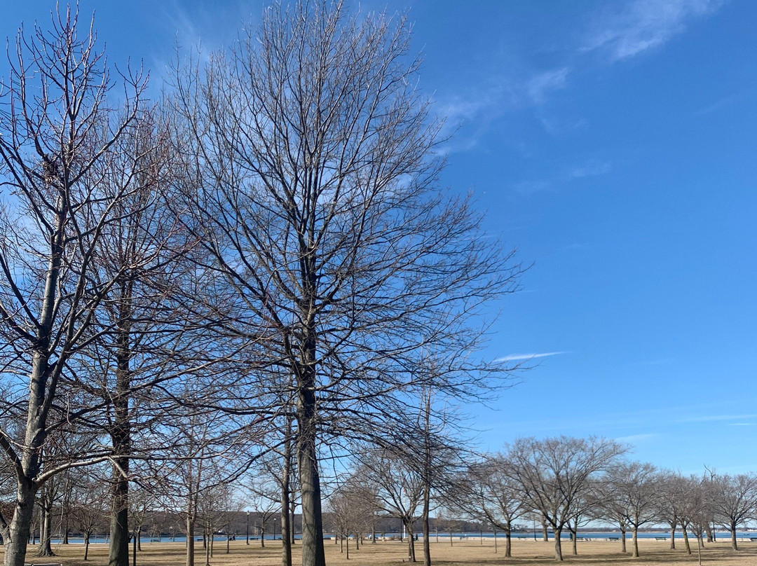 Theodore Roosevelt Memorial Park景点图片