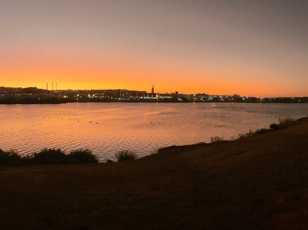 Nelson Mandela Bay Stadium-伊丽莎白港必去景点