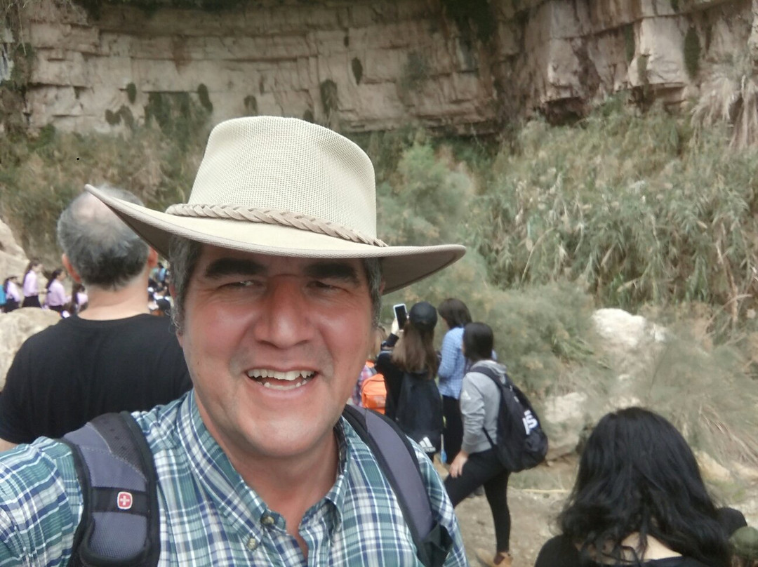 Nachal David Stream-死海地区必去景点