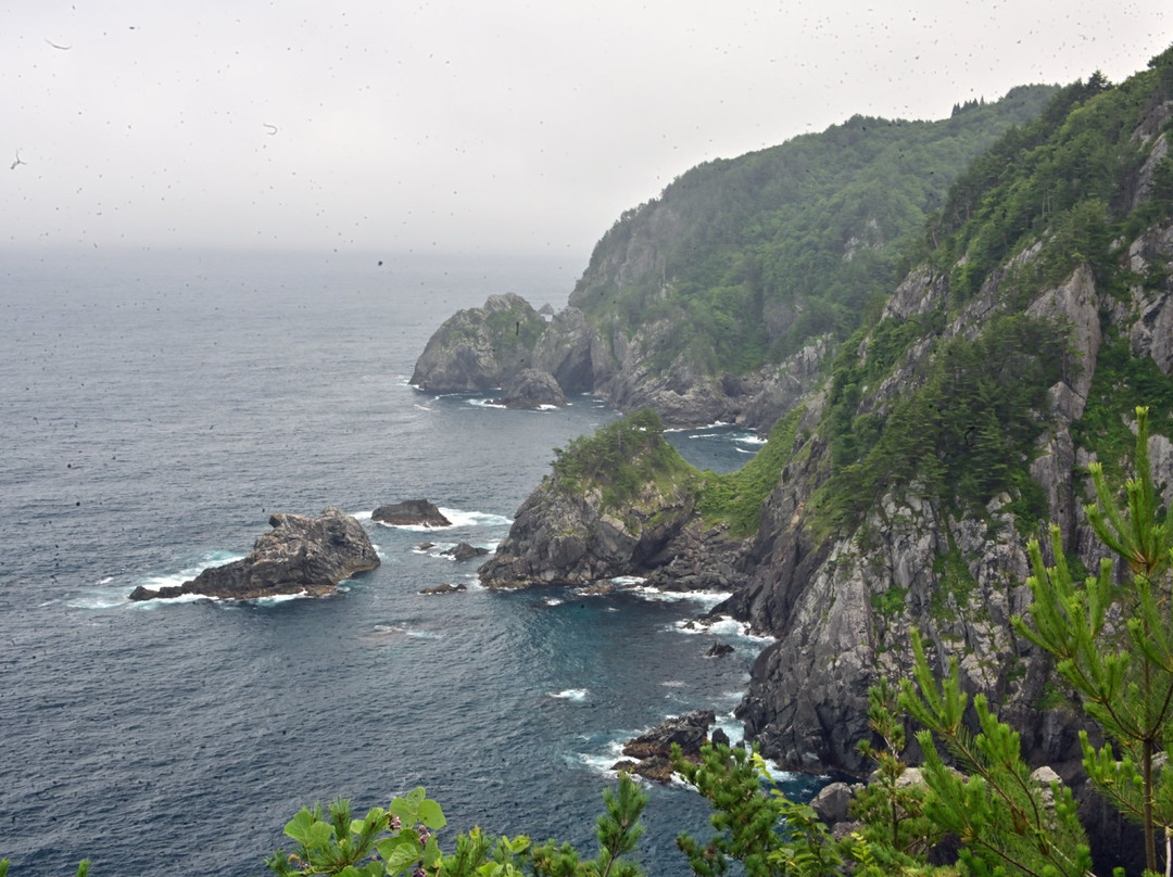 Kurosaki Observatory-普代村必去景点