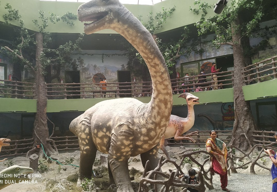 Dinosaur Fossil Park and Museum景点图片